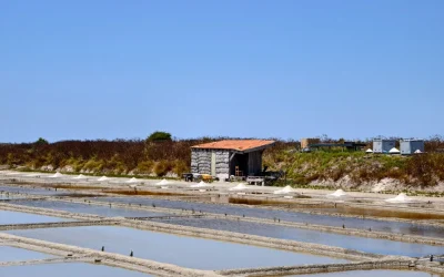 L&rsquo;histoire d&rsquo;un transporteur sur l&rsquo;île de Ré spécialiste de la façade Atlantique