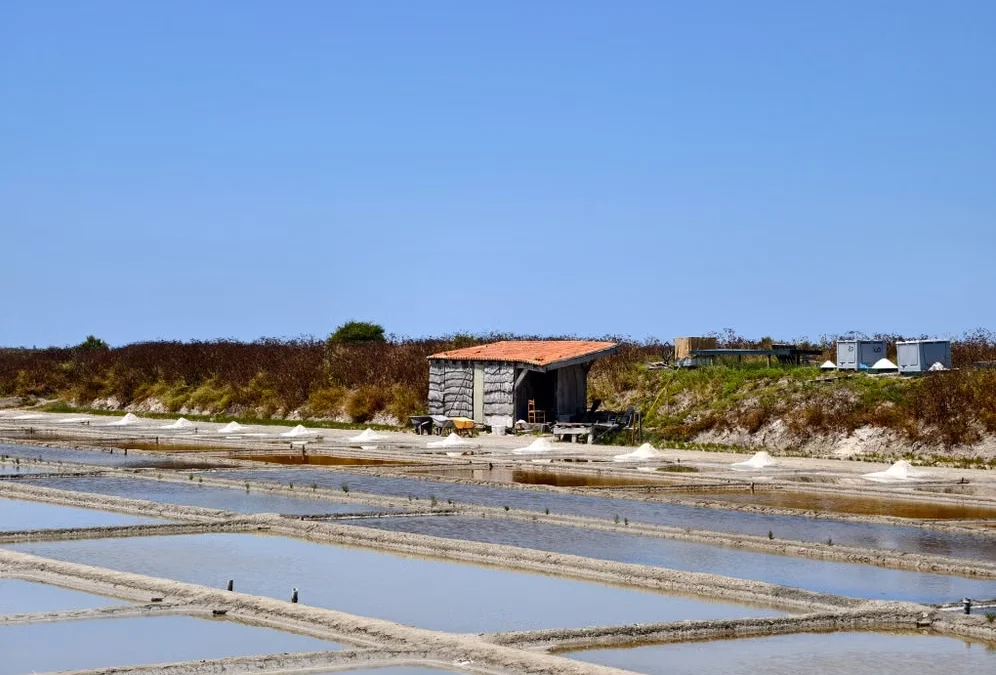 L&rsquo;histoire d&rsquo;un transporteur sur l&rsquo;île de Ré spécialiste de la façade Atlantique
