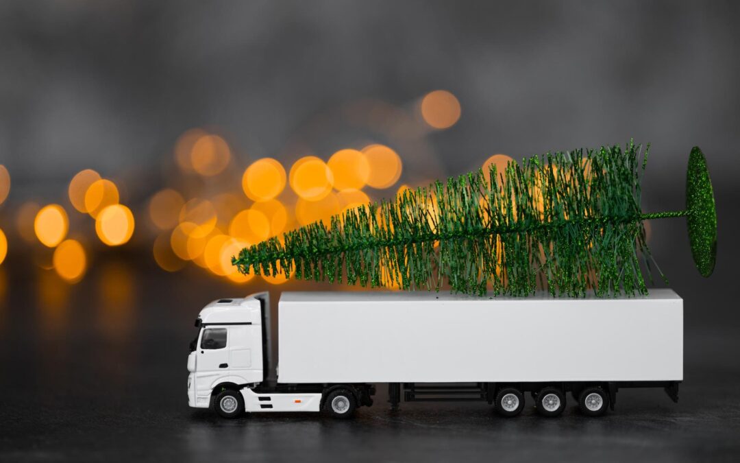 Livraisons avant Noël : pourquoi choisir Transports Goëvia ?