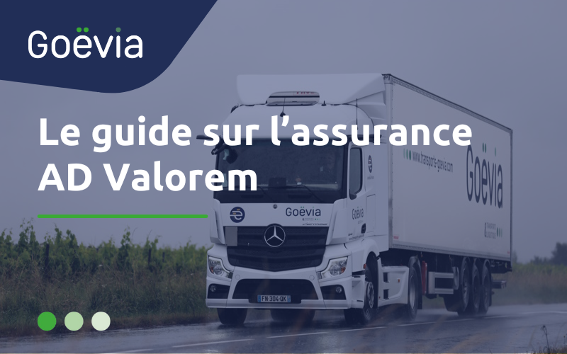 Miniature du document "Guide sur l'assurance AD Valorem"