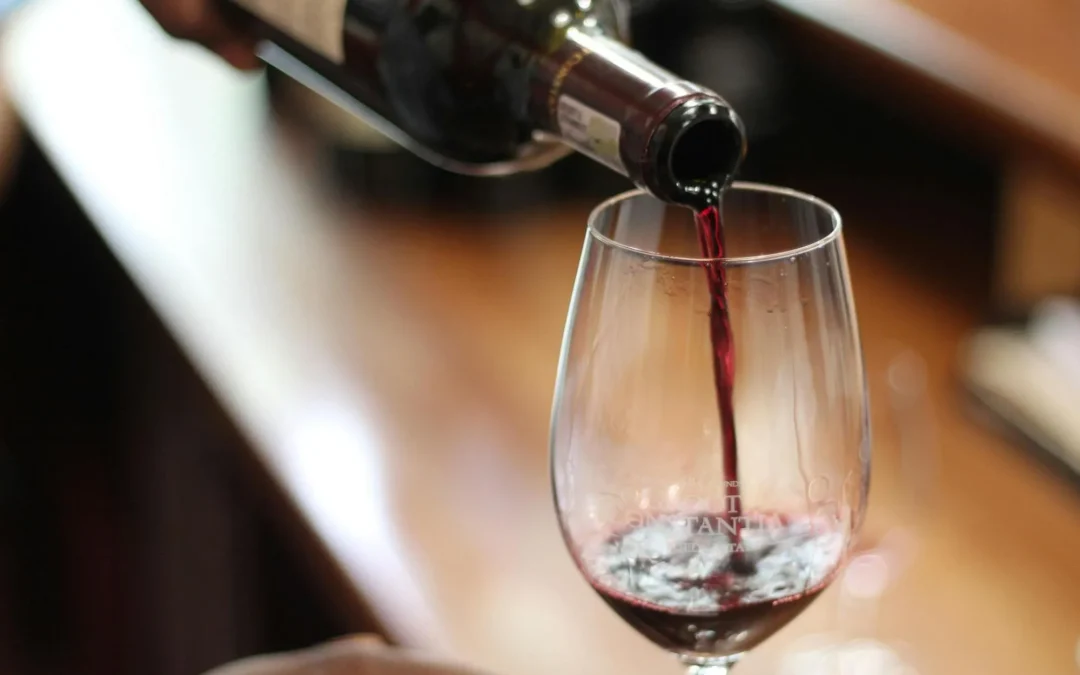 Stockage vin professionnel : comment sécuriser vos crus de la vigne au client final ?